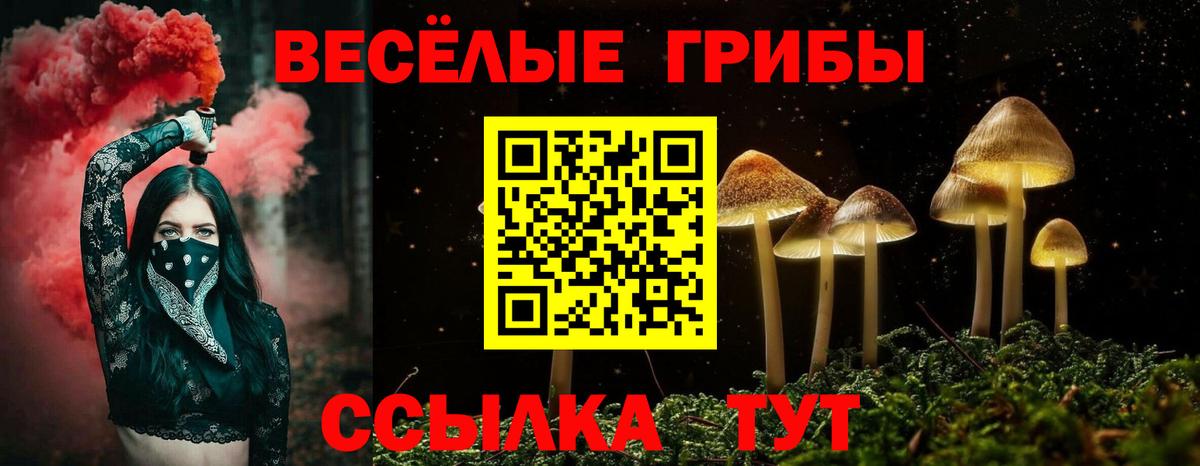 Галлюциногенные грибы Cubensis Алейск